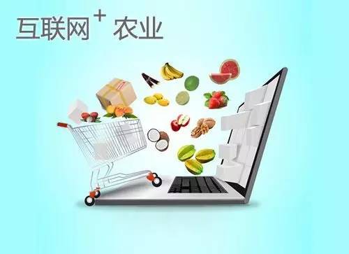 春耕秋收，线下互联 农产品电商畅聊会的未来图景